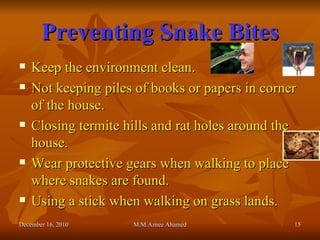 Preventing Snake Bites Keep the environment clean. Not keeping piles of books or papers in corner of the house. Closing termite hills and rat holes around the house. Wear protective gears when walking to place where snakes are found. Using a stick when walking on grass lands. December 16, 2010 M.M.Aznee Ahamed 