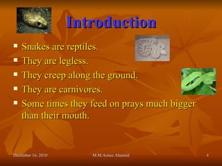 Introduction Snakes are reptiles. They are legless. They creep along the ground. They are carnivores. Some times they feed on prays much bigger than their mouth. December 16, 2010 M.M.Aznee Ahamed 