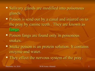 Salivary glands are modified into poisonous glands. Poison is send out by a canal and injured on to the pray by canine teeth . They are known as  fangs . Poison fangs are found only in poisonous snakes. Snake poison is an protein solution. It contains enzyme and water. They effect the nervous system of the pray. December 16, 2010 M.M.Aznee Ahamed 