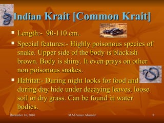 Indian  Krait [Common Krait] Length:-  90-110 cm. Special features:- Highly poisonous species of snake. Upper side of the body is blackish brown. Body is shiny. It even prays on other non poisonous snakes. Habitat:- During night looks for food and during day hide under decaying leaves, loose soil or dry grass. Can be found in water bodies. December 16, 2010 M.M.Aznee Ahamed 