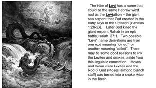 The tribe of Levi has a name that
could be the same Hebrew word
root as the Leviathon – the giant
sea serpent that God created in the
early days of the Creation (Genesis
1:20-23). Later God killed the
giant serpent Rahab in an epic
battle, Isaiah 27:1. Two possible
“Levi” name derivations are from
one root meaning “joined” or
another meaning “coiled”. There
may be some good reasons to link
the Levites and snakes, aside from
this linguistic connection. Moses
and Aaron were Levites and the
Rod of God (Moses’ almond branch
staff) was turned into a snake twice
in the Torah.
 