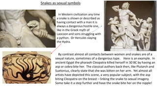 Snakes as sexual symbols
In Western civilization any time
a snake is shown or described as
having contact with a man it is
always a dangerous hostile one,
like in the Greek myth of
Laocoon and sons struggling with
a python. Or Hercules slaying
the Hydra.
By contrast almost all contacts between women and snakes are of a
sexual nature, sometimes of a dangerous type. Here is an example. In
ancient Egypt the pharaoh Cleopatra killed herself in 30 BC by having an
asp or cobra bite her. The classical authors back then, like Plutarch and
Suetonius, clearly state that she was bitten on her arm. Yet almost all
artists have depicted this scene, a very popular subject, with the asp
biting Cleopatra on the breast – linking the snake to sexual imagery.
Some take it a step further and have the snake bite her on the nipple!
 