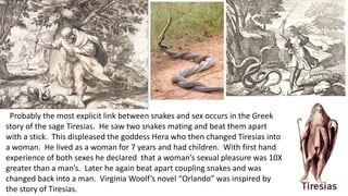 Probably the most explicit link between snakes and sex occurs in the Greek
story of the sage Tiresias. He saw two snakes mating and beat them apart
with a stick. This displeased the goddess Hera who then changed Tiresias into
a woman. He lived as a woman for 7 years and had children. With first hand
experience of both sexes he declared that a woman’s sexual pleasure was 10X
greater than a man’s. Later he again beat apart coupling snakes and was
changed back into a man. Virginia Woolf’s novel “Orlando” was inspired by
the story of Tiresias.
 
