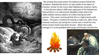 We already discussed earlier the biblical serpent Rahab the
Leviathan, defeated by God in an epic battle at the dawn of
Creation, similar to the much older Babylonian creation myths.
In the Gemara (about 1600 years ago) part of the Babylonian
Talmud there is an odd section (Shabbat 110a) where the
rabbis debate various aspects of snakes having sex with
women. They seem convinced that this is a high priority with
snakes. They give a method of coaxing a snake out, after it has
entered a woman, by having her crouch over a small fire into
which certain herbs have been thrown. When the snake
emerges it is to be grabbed with tongs and thrown into the fire.
 