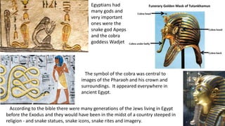 Egyptians had
many gods and
very important
ones were the
snake god Apeps
and the cobra
goddess Wadjet
The symbol of the cobra was central to
images of the Pharaoh and his crown and
surroundings. It appeared everywhere in
ancient Egypt.
According to the bible there were many generations of the Jews living in Egypt
before the Exodus and they would have been in the midst of a country steeped in
religion - and snake statues, snake icons, snake rites and imagery.
 
