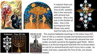 In Judaism there are
several important
Tree of Life symbols.
One is the menorah,
with almond tree
branches. One is the
tree in the Garden of
Eden. One is the
burning bush that
Moses sees when
God first talks to him.
The mystical Kabbalah teachings in the Zohar have the
Tree of Life as a central concept and twisted around that
Tree of Life is a serpent. The menorah’s almond tree and
snakes are both sacred to the Egyptian god Thoth. When
Moses is at the burning bush God tells him to throw down
his rod (of an almond branch) and it turns into a snake. So
snakes and trees, especially the Tree of Life, are closely
related.
 