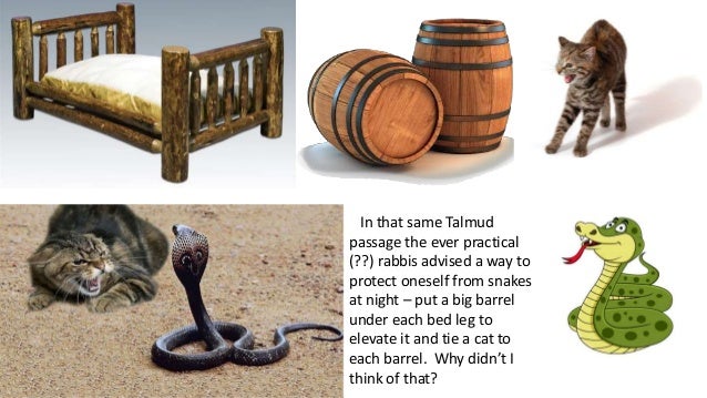 snakes in the bible