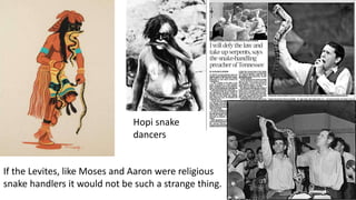Hopi snake
dancers
If the Levites, like Moses and Aaron were religious
snake handlers it would not be such a strange thing.
 