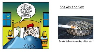 Snakes and Sex
Snake takes a smoke, after sex
 