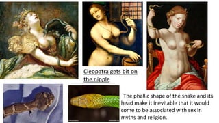 Cleopatra gets bit on
the nipple
The phallic shape of the snake and its
head make it inevitable that it would
come to be associated with sex in
myths and religion.
 
