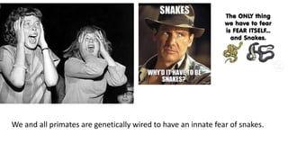 We and all primates are genetically wired to have an innate fear of snakes.
 