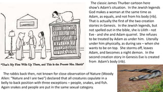 The classic James Thurber cartoon here
show’s Adam’s situation. In the Jewish legends
God makes a woman at the same time as
Adam, as equals, and not from his body (rib).
That is actually the first of the two creation
stories in Genesis. In the Jewish legends, but
not spelled out in the bible, she is Lilith - not
Eve - and she and Adam quarrel. She refuses
to be treated by Adam as under him. Literally
under him physically, as during sex – when she
wants to be on top. She storms off, leaves
Adam, and becomes a night demon. In the
second creation story in Genesis Eve is created
from Adam’s body (rib).
The rabbis back then, not known for close observation of Nature (Woody
Allen: “Nature and I are two”) declared that all creatures copulate in a
belly to back position with three exceptions – people, snakes, and fish.
Again snakes and people are put in the same sexual category.
 