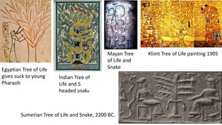 Egyptian Tree of Life
gives suck to young
Pharaoh
Klimt Tree of Life painting 1905
Indian Tree of
Life and 5
headed snake
Mayan Tree
of Life and
Snake
Sumerian Tree of Life and Snake, 2200 BC.
 