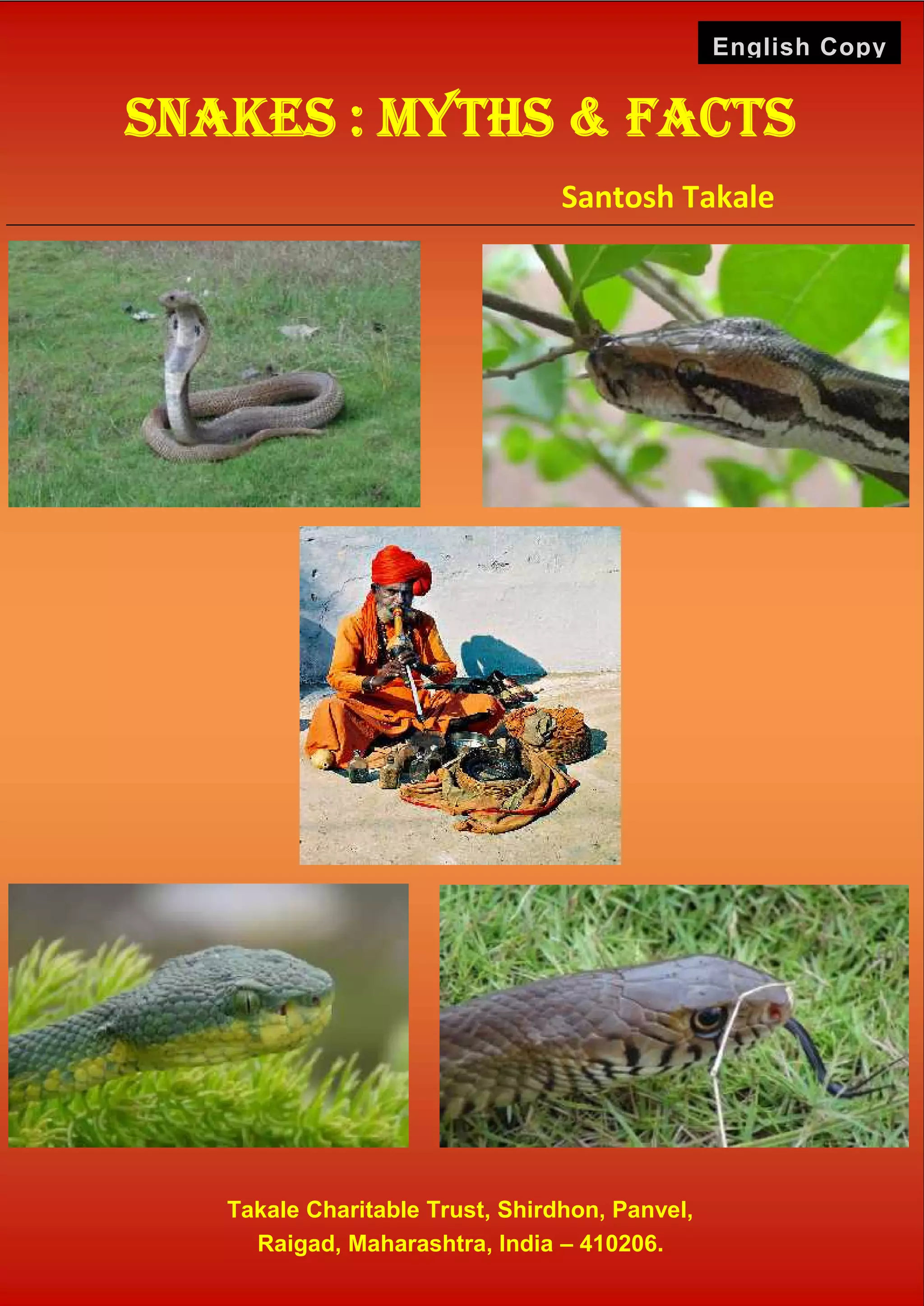 Texas Snakes: Myths, Facts, And Everything In Between - 8xd72zh