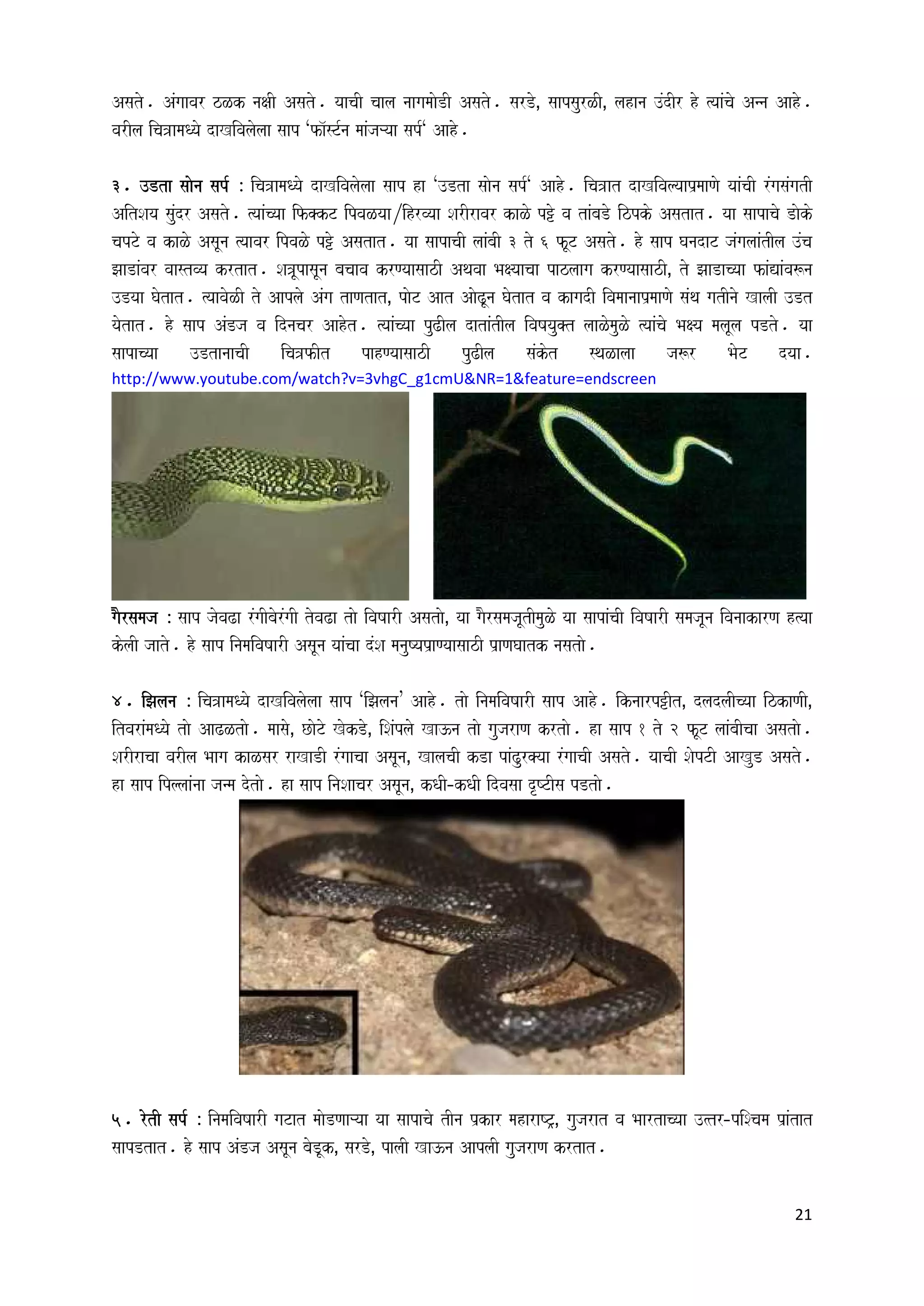 Texas Snakes: Myths, Facts, And Everything In Between - g7vjv64