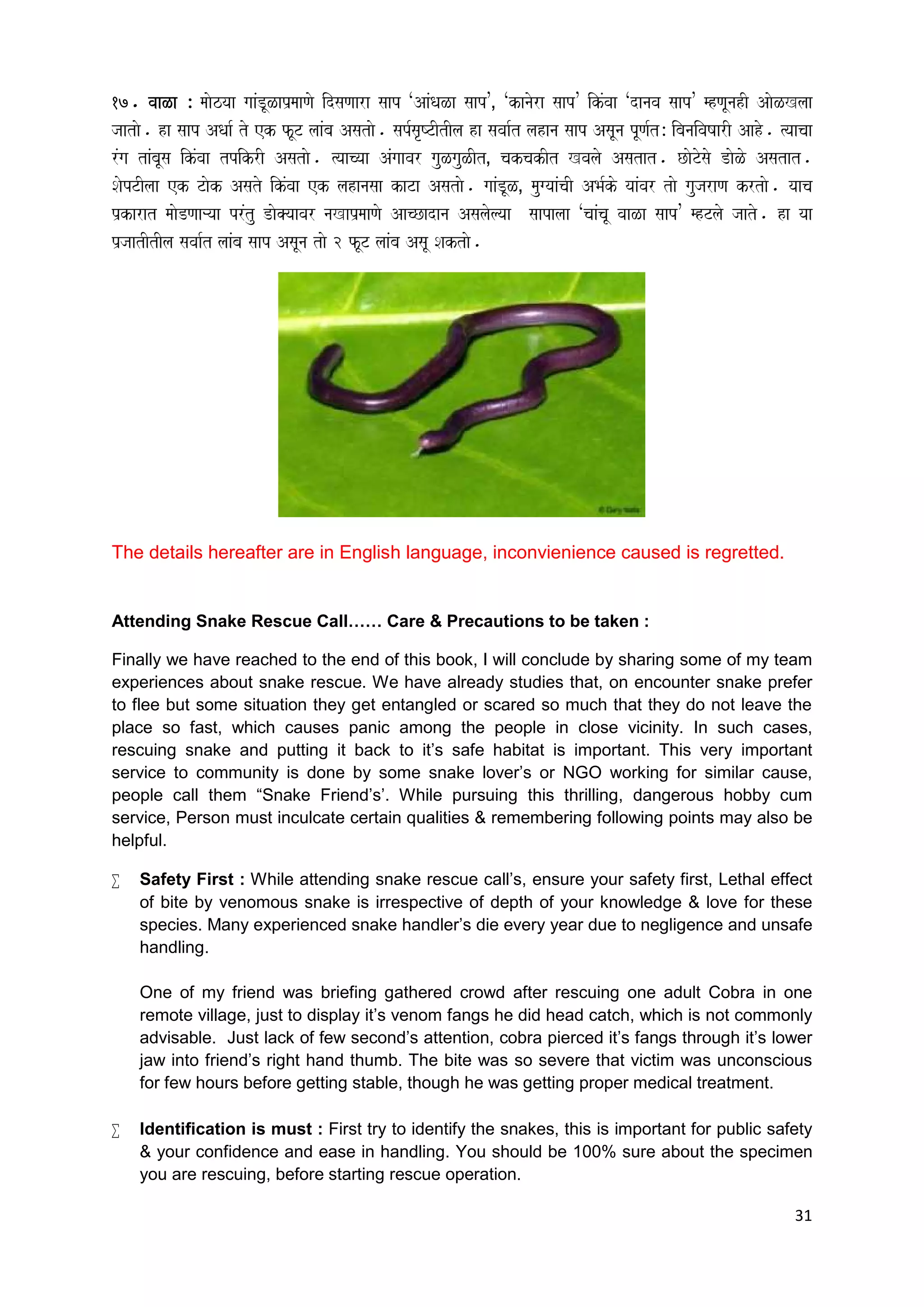 Texas Snakes: Myths, Facts, And Everything In Between - 7juiln8