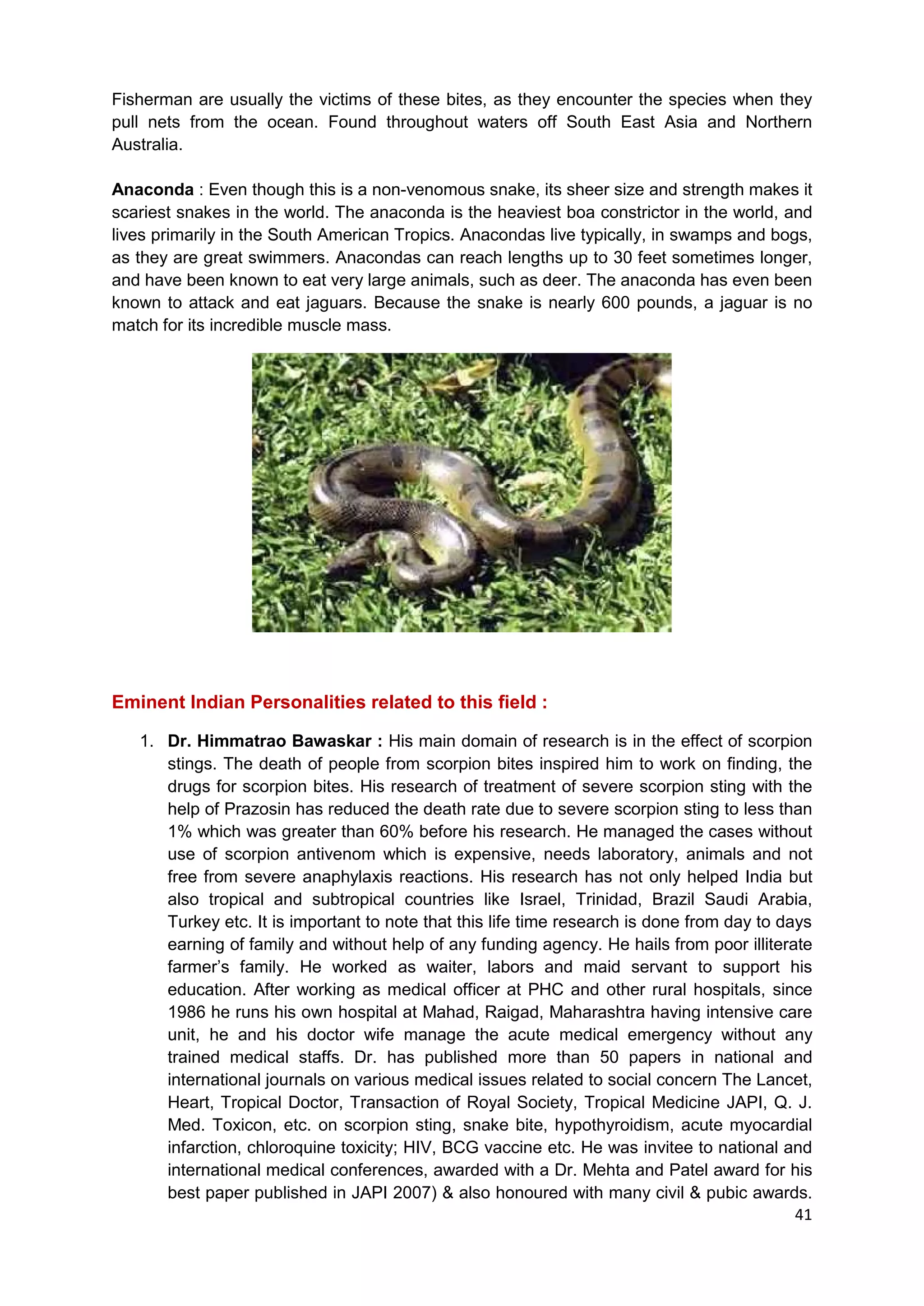 Texas Snakes: Myths, Facts, And Everything In Between - hmzi7uz