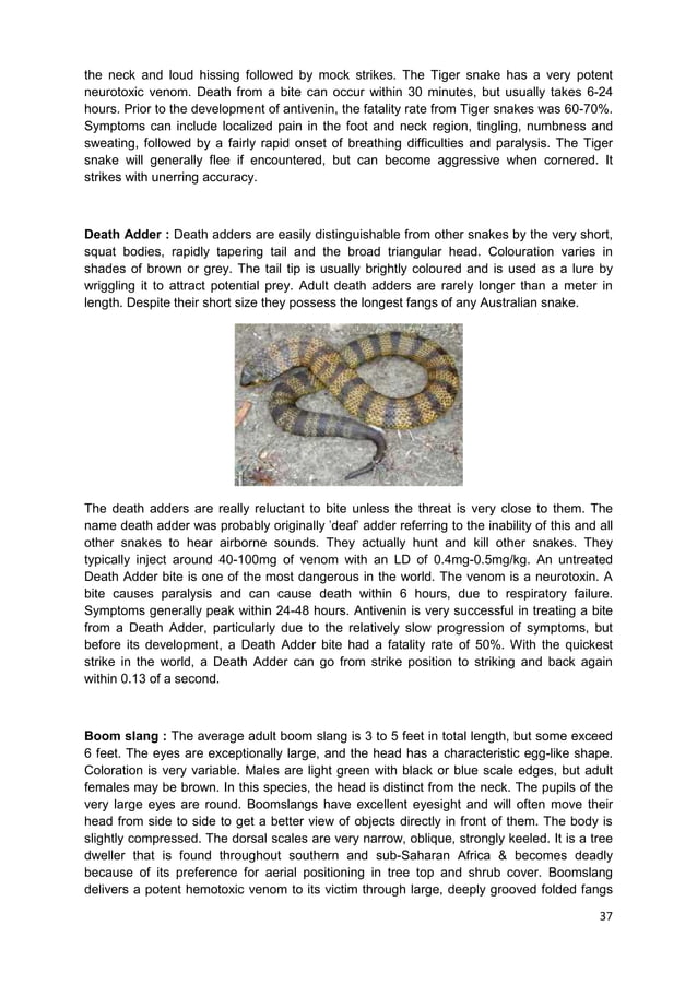 Snakes Myths & Facts in Marathi by Santosh Takale PDF