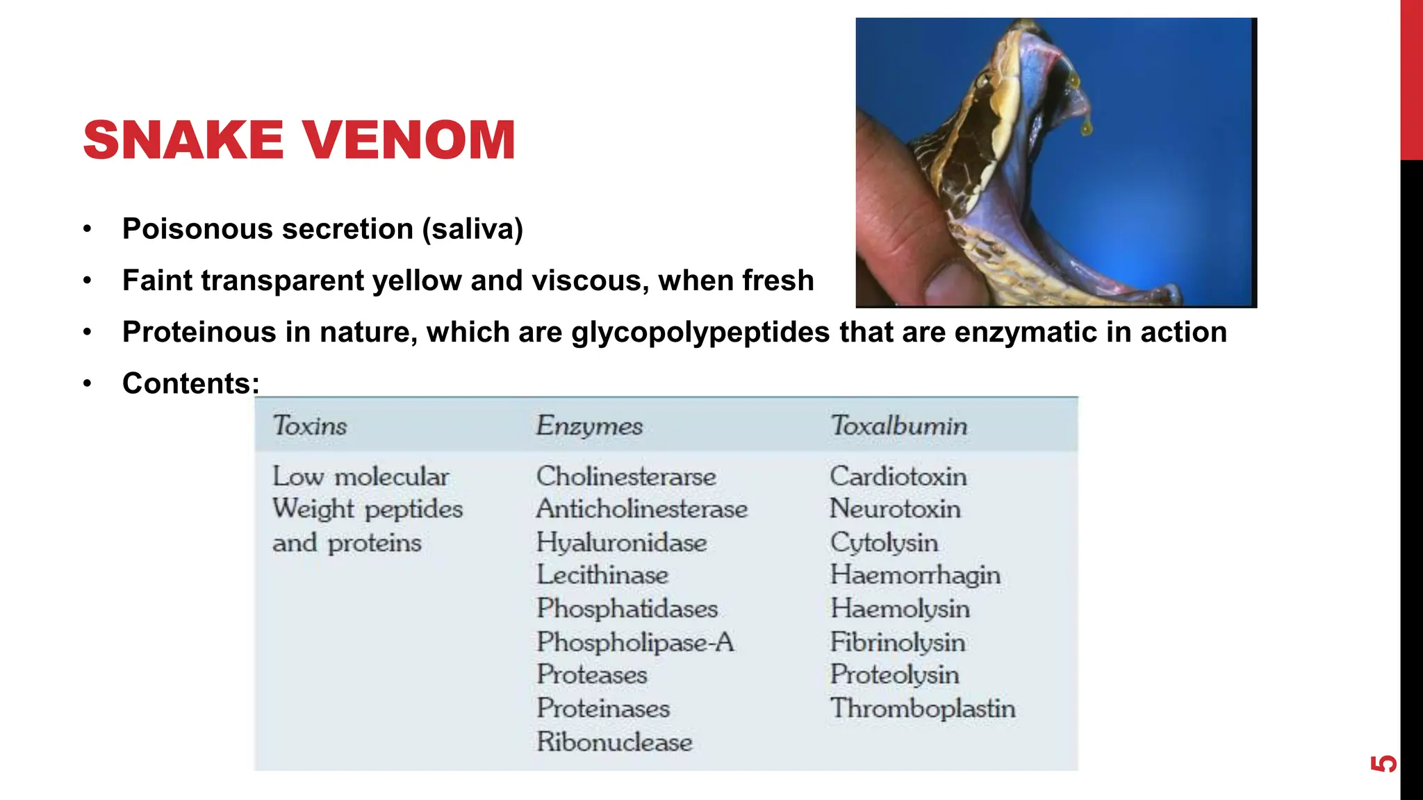 Details about snake bites their impact and remedies | PDF | First Aid ...