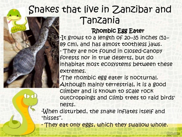 Snakes of Tanzania