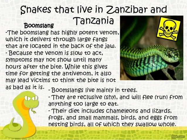 Snakes of Tanzania