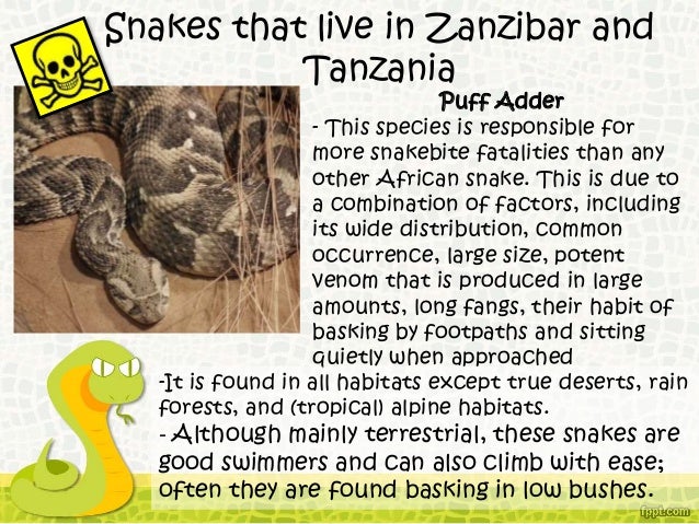 Snakes of Tanzania