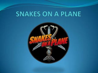 SNAKES ON A PLANE 
