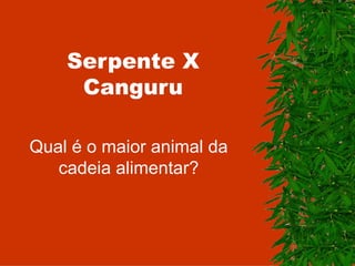 Serpente X Canguru Qual é o maior animal da cadeia alimentar? 