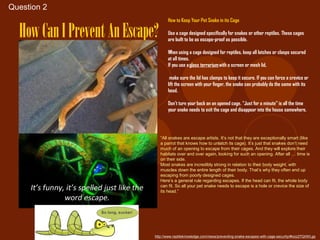 Question 2
                                     How to Keep Your Pet Snake in its Cage

  How Can I Prevent An Escape?       Use a cage designed specifically for snakes or other reptiles. These cages
                                     are built to be as escape-proof as possible.

                                     When using a cage designed for reptiles, keep all latches or clasps secured
                                     at all times.
                                     If you use a glass terrarium with a screen or mesh lid,

                                      make sure the lid has clamps to keep it secure. If you can force a crevice or
                                     lift the screen with your finger, the snake can probably do the same with its
                                     head.

                                     Don’t turn your back on an opened cage. “Just for a minute” is all the time
                                     your snake needs to exit the cage and disappear into the house somewhere.




                                 “All snakes are escape artists. It’s not that they are exceptionally smart (like
                                 a parrot that knows how to unlatch its cage). It’s just that snakes don’t need
                                 much of an opening to escape from their cages. And they will explore their
                                 habitats over and over again, looking for such an opening. After all … time is
                                 on their side.
                                 Most snakes are incredibly strong in relation to their body weight, with
                                 muscles down the entire length of their body. That’s why they often end up
                                 escaping from poorly designed cages.
                                 Here’s a general rule regarding escapes. If the head can fit, the whole body
                                 can fit. So all your pet snake needs to escape is a hole or crevice the size of
                                 its head.”




                             http://www.reptileknowledge.com/news/preventing-snake-escapes-with-cage-security/#ixzz27QIiWLgs
 