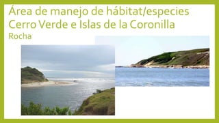 Área de manejo de hábitat/especies
CerroVerde e Islas de la Coronilla
Rocha
 