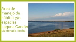Área de
manejo de
hábitat y/o
especies
Laguna Garzón
Maldonado-Rocha
 