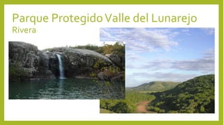 Parque ProtegidoValle del Lunarejo
Rivera
 