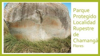 Parque
Protegido
Localidad
Rupestre
de
Chamangá
Flores
 