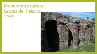 Monumento natural
Grutas del Palacio
Flores
 