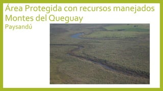 Área Protegida con recursos manejados
Montes del Queguay
Paysandú
 