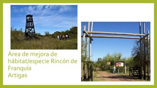 Área de mejora de
hábitat/especie Rincón de
Franquía
Artigas
 