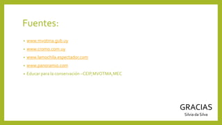 Fuentes:
• www.mvotma.gub.uy
• www.cromo.com.uy
• www.lamochila.espectador.com
• www.panoramio.com
• Educar para la conservación –CEIP,MVOTMA,MEC
GRACIAS
Silvia da Silva
 