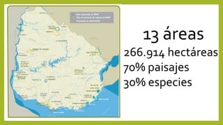 13 áreas
266.914 hectáreas
70% paisajes
30% especies
 