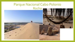 Parque Nacional Cabo Polonio
Rocha
 