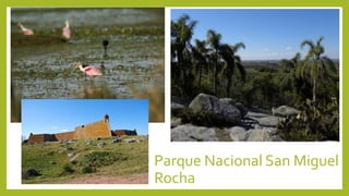 Parque Nacional San Miguel
Rocha
 