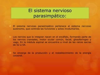 El sistema nervioso
parasimpático:
 El sistema nervioso parasimpático pertenece al sistema nervioso
autónomo, que controla las funciones y actos involuntarios.
 Los nervios que lo integran nacen en el encéfalo, formando parte de
los nervios craneales, motor ocular común, facial, glosofaríngeo y
vago. En la médula espinal se encuentra a nivel de las raíces sacras
de S2 a S4.
 Se encarga de la producción y el restablecimiento de la energía
corporal.
 