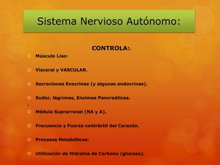 Sistema Nervioso Autónomo:
CONTROLA:‹
 Músculo Liso:
 Visceral y VASCULAR.
 Secreciones Exocrinas (y algunas endocrinas).
 Sudor, lágrimas, Enzimas Pancreáticas.
‹
 Médula Suprarrenal (NA y A).
 Frecuencia y Fuerza contráctil del Corazón.
 Procesos Metabólicos:
 Utilización de Hidratos de Carbono (glucosa).
 