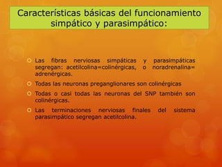 Características básicas del funcionamiento
simpático y parasimpático:
 Las fibras nerviosas simpáticas y parasimpáticas
segregan: acetilcolina=colinérgicas, o noradrenalina=
adrenérgicas.
 Todas las neuronas preganglionares son colinérgicas
 Todas o casi todas las neuronas del SNP también son
colinérgicas.
 Las terminaciones nerviosas finales del sistema
parasimpático segregan acetilcolina.
 