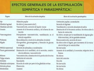 EFECTOS GENERALES DE LA ESTIMULACIÓN
SIMPÁTICA Y PARASIMPÁTICA:
 