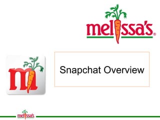 Snapchat Overview
 