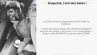 Les chats n’ont pas uniquement envahi Twitter ou
Facebook..
A l’instar des autres réseaux, les utilisateurs partagent à
profusion des photos « trop choux », ou « trop rigolotes »
de leur chat POUPETTE ou de leur chien COOKIE.
Snapchat, l’ami des bêtes !
Snapchat: les clés pour se lancer / On prend un café 
 