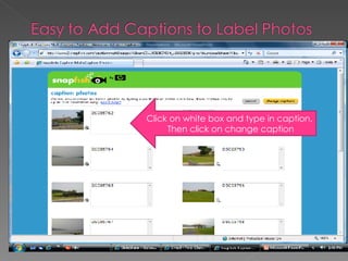 Click on white box and type in caption.  Then click on change caption 