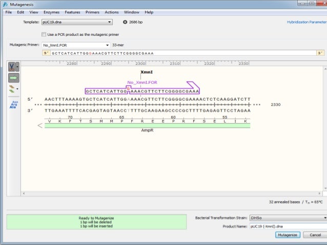 Snapgene viewer Snapgene viewer