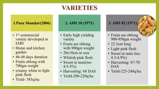 VARIETIES
1.Pusa Shandar(2006)
• 1st commercial
variety developed at
IARI
• Home and kitchen
garden
• 46-48 days duration
• Fruits oblong with
700gm weight
• creamy white to light
pink flesh
• Yield- 385q/ha
2. AHS 10 (1971)
• Early high yielding
variety
• Fruits are oblong
with 900gm wieght
• 20x10cm in size
• Whitish pink flesh
• Sweet in taste(tss-
4.5-5%)
• Harvesting: 68 DAS
• Yield-200-220q/ha
3. AHS 82 (1971)
• Fruits are oblong
900-950gm wieght
• 22.5cm long
• Light pink flesh
• Sweet in taste (tss-
4.3-4.9%)
• Harvesting: 67-70
DAS
• Yield-225-248q/ha
 