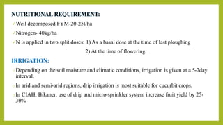 Well decomposed FYM-20-25t/ha
Nitrogen- 40kg/ha
N is applied in two split doses: 1) As a basal dose at the time of last ploughing
2) At the time of flowering.
IRRIGATION:
oDepending on the soil moisture and climatic conditions, irrigation is given at a 5-7day
interval.
oIn arid and semi-arid regions, drip irrigation is most suitable for cucurbit crops.
oIn CIAH, Bikaner, use of drip and micro-sprinkler system increase fruit yield by 25-
30%
 